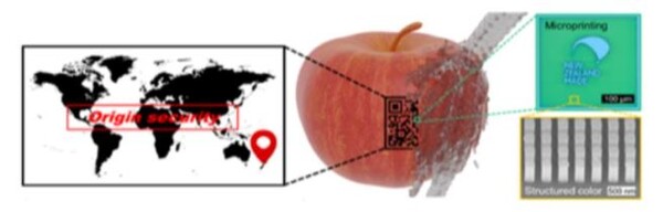 포항공과대 노준석 교수 연구팀이 사과 등 농식품에 라벨을 새겨 위·변조를 막는 '스마트 라벨링' 기술을 개발했다. [사진: 과학기술정통부]